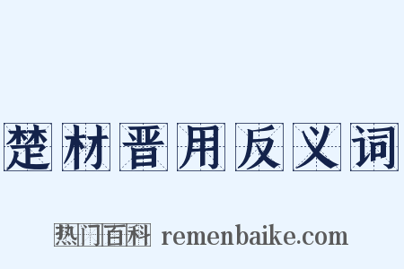 楚材晋用反义词是什么意思的图片